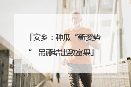安乡：种瓜“新姿势” 吊藤结出致富果