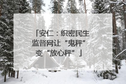 安仁：织密民生监督网让“鬼秤”变“放心秤”