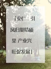 安仁：引凤归巢结硕果 产业兴旺促发展