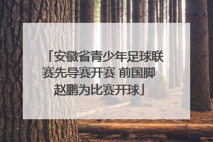 安徽省青少年足球联赛先导赛开赛 前国脚赵鹏为比赛开球