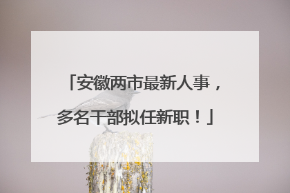 安徽两市最新人事，多名干部拟任新职！