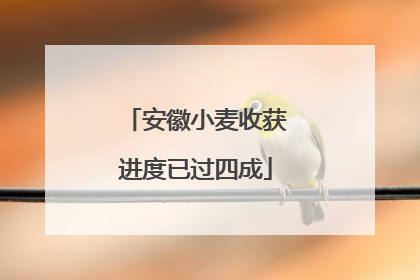 安徽小麦收获进度已过四成