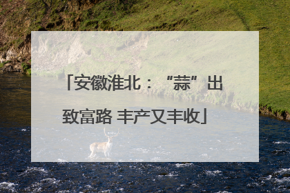 安徽淮北：“蒜”出致富路 丰产又丰收