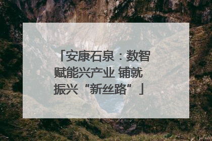 安康石泉：数智赋能兴产业 铺就振兴“新丝路”