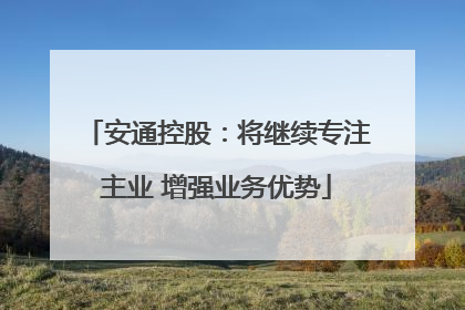 安通控股：将继续专注主业 增强业务优势