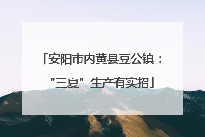 安阳市内黄县豆公镇：“三夏”生产有实招