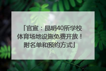 官宣：昆明40所学校体育场地设施免费开放！附名单和预约方式
