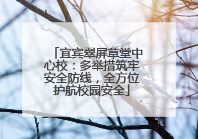 宜宾翠屏草堂中心校：多举措筑牢安全防线，全方位护航校园安全