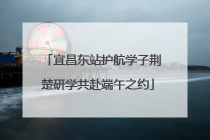 宜昌东站护航学子荆楚研学共赴端午之约