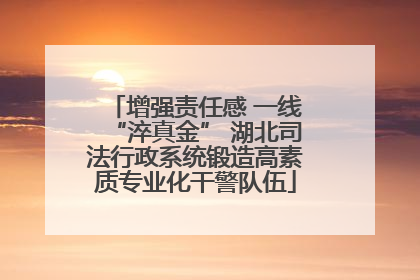 增强责任感 一线“淬真金” 湖北司法行政系统锻造高素质专业化干警队伍