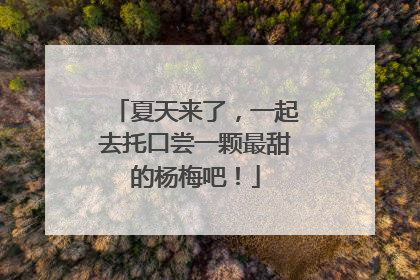 夏天来了，一起去托口尝一颗最甜的杨梅吧！