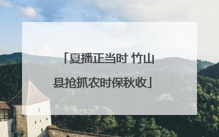 夏播正当时 竹山县抢抓农时保秋收