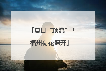 夏日“顶流”！福州荷花盛开