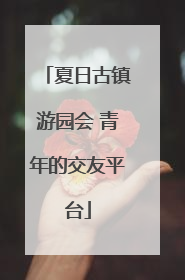 夏日古镇游园会 青年的交友平台