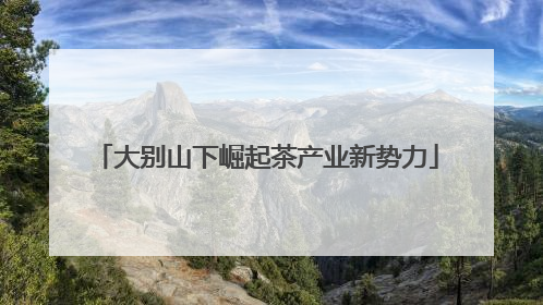 大别山下崛起茶产业新势力