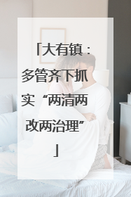 大有镇：多管齐下抓实“两清两改两治理”