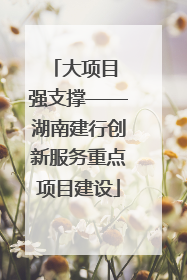 大项目 强支撑——湖南建行创新服务重点项目建设