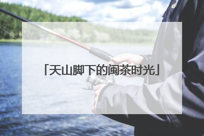 天山脚下的闽茶时光