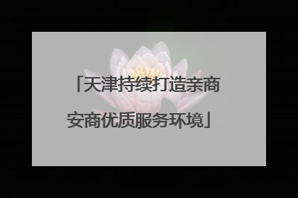 天津持续打造亲商安商优质服务环境