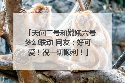 天问二号和嫦娥六号梦幻联动 网友：好可爱！祝一切顺利！