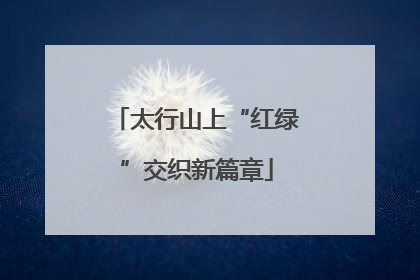 太行山上“红绿”交织新篇章