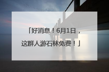 好消息！6月1日，这群人游石林免费！
