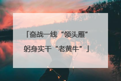 奋战一线“领头雁” 躬身实干“老黄牛”