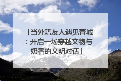当外籍友人遇见青城：开启一场穿越文物与奶香的文明对话