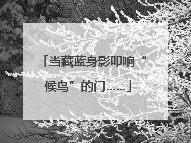 当藏蓝身影叩响“候鸟”的门……