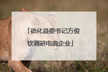 德化县委书记方俊钦调研电商企业