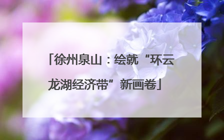 徐州泉山：绘就“环云龙湖经济带”新画卷