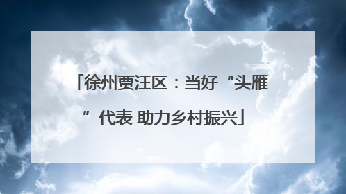 徐州贾汪区:当好“头雁”代表 助力乡村振兴