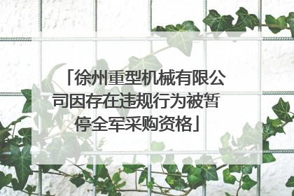 徐州重型机械有限公司因存在违规行为被暂停全军采购资格