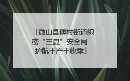 微山县傅村街道织密“三夏”安全网 护航丰产丰收季