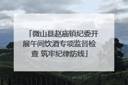 微山县赵庙镇纪委开展午间饮酒专项监督检查 筑牢纪律防线