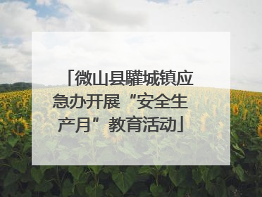 微山县驩城镇应急办开展“安全生产月”教育活动