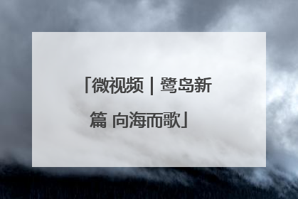微视频｜鹭岛新篇 向海而歌
