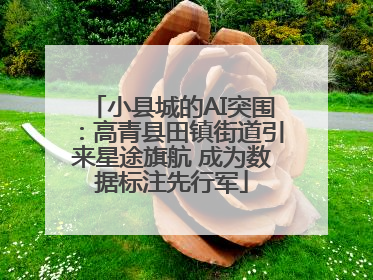 小县城的AI突围：高青县田镇街道引来星途旗航 成为数据标注先行军