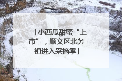 小西瓜甜蜜“上市”，顺义区北务镇进入采摘季