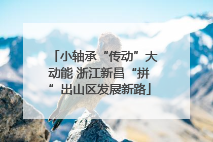 小轴承“传动”大动能 浙江新昌“拼”出山区发展新路