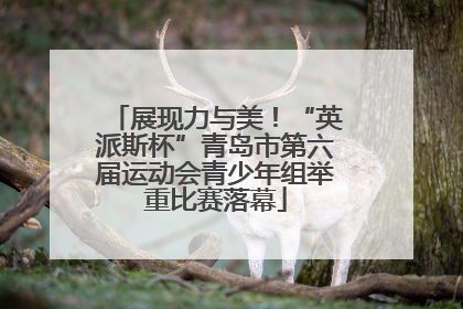 展现力与美！“英派斯杯”青岛市第六届运动会青少年组举重比赛落幕