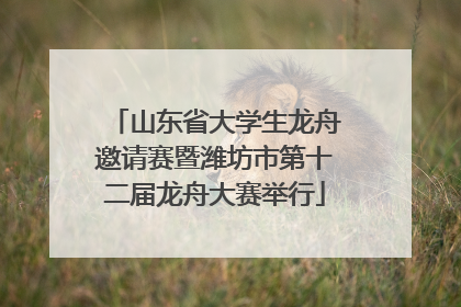山东省大学生龙舟邀请赛暨潍坊市第十二届龙舟大赛举行