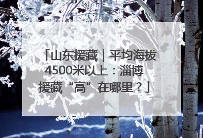 山东援藏｜平均海拔4500米以上：淄博援藏“高”在哪里？