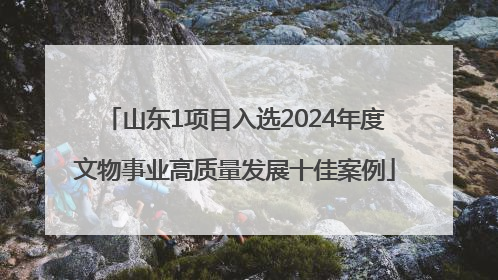 山东1项目入选2024年度文物事业高质量发展十佳案例