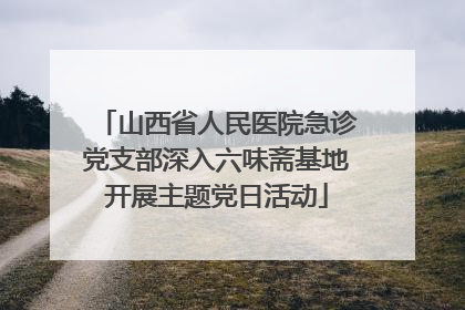 山西省人民医院急诊党支部深入六味斋基地开展主题党日活动