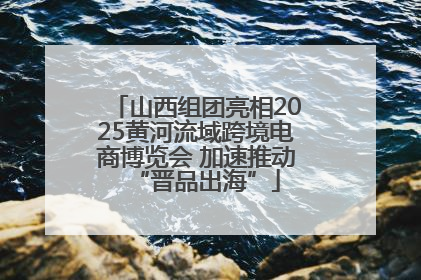 山西组团亮相2025黄河流域跨境电商博览会 加速推动“晋品出海”