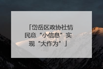 岱岳区政协社情民意“小信息”实现“大作为”