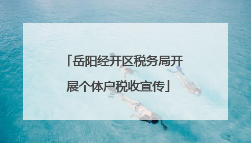 岳阳经开区税务局开展个体户税收宣传