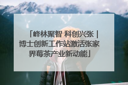 峰林聚智 科创兴张｜博士创新工作站激活张家界莓茶产业新动能
