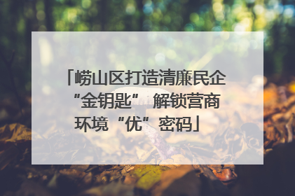 崂山区打造清廉民企“金钥匙” 解锁营商环境“优”密码